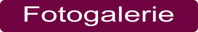 Fotogalerie