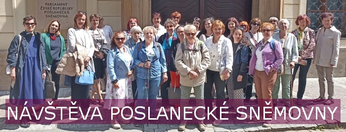 Nvtva Poslaneck snmovny Parlamentu R